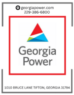Georgia Power Company