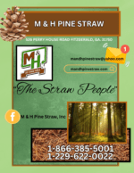 Branlyn Diversified, Limited ( M and H Pinestraw)