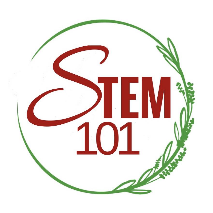 S.T.E.M. 101, Inc